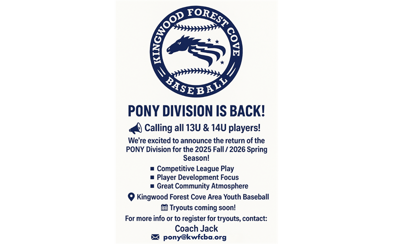 Pony League